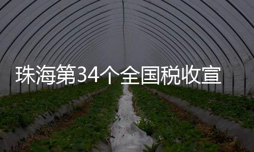 珠海高水平“走出去”