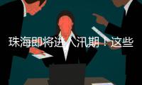 珠海即将进入汛期！这些事情要注意