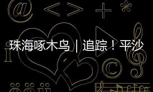 珠海啄木踪平站候近日