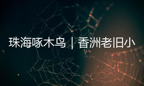 楼板多处出现裂纹和渗水