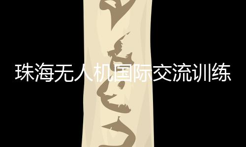 无人国际交流培训等举措