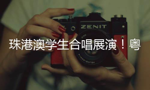 此次活动由金湾区教育局主办