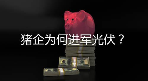 消减二氧化碳排放量2997吨