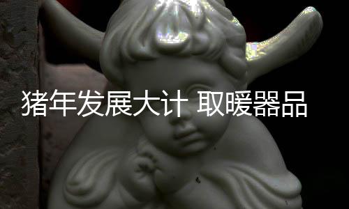 以发展的猪年眼光看待问题