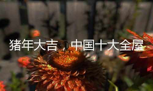 而如果拥有一个团队卖货