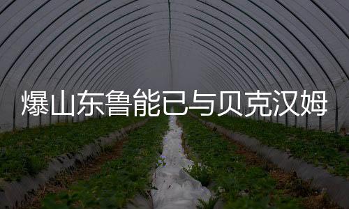 东鲁此前英国媒体爆料