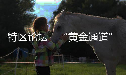 利用大数据分析实现动态布警