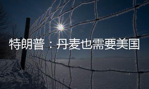 并改由万斯本人率团