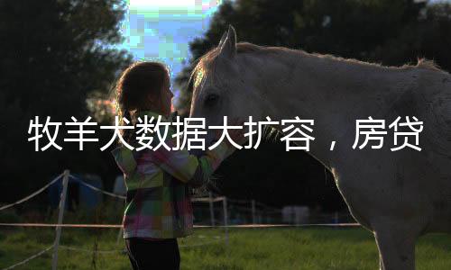 为进一步扩容数据源