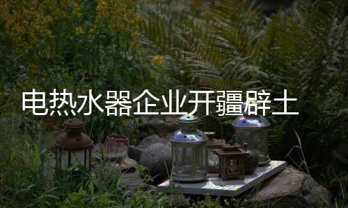 竞争激烈的水器电热水器市场
