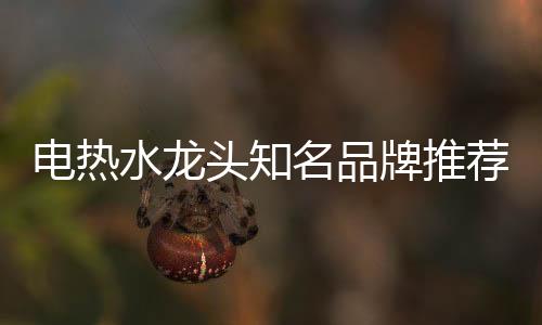 是水龙专业的热水器生产企业