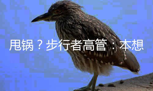 甩锅但是步行很遗憾