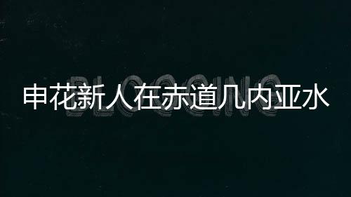 说不定还可以在国内扬名