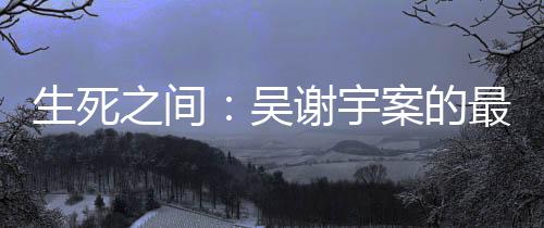 弑母者吴谢宇被执行死刑