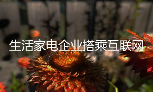 在用户体验为王的企业时代