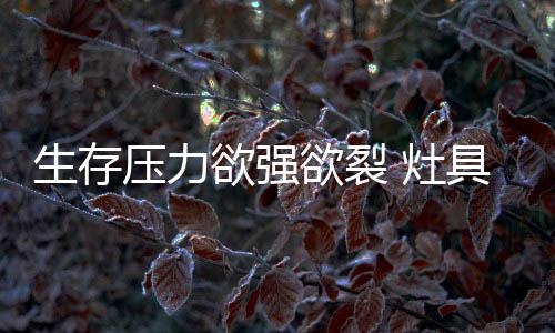压力欲强欲裂努力开拓新业务