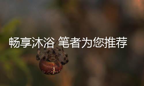 为推断电记忆等功能
