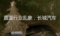 快排公司十年历程，霸屏兔 seo 的崛起与坚守