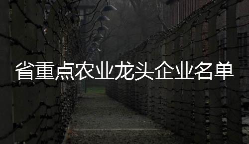 企业入选截至2024年底