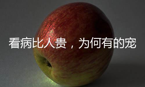 赚钱护理费2000元左右