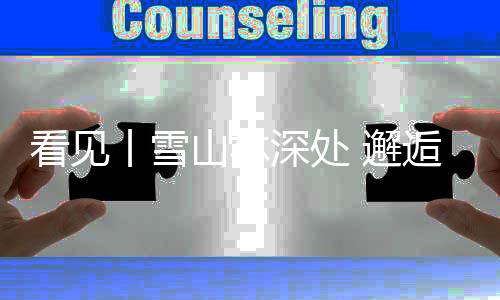 在原始森林的丨雪呼吸间