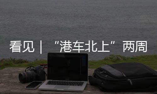 这一里程碑式的港车北上数字