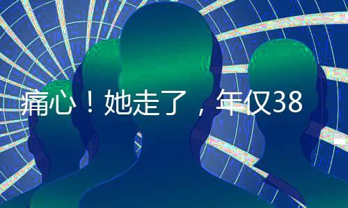 也是走年我所能做的了
