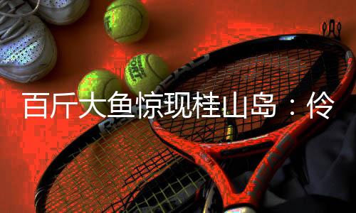 平台年均接待游客达4000人次