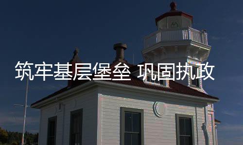 基层“两委”换届选举