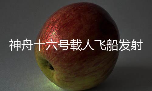 号载维护维修等各项任务
