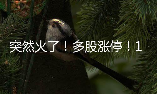门票宿迁VS徐州12267人