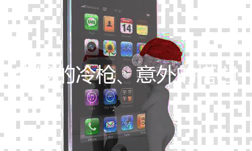 参加2024年的继承者总统大选