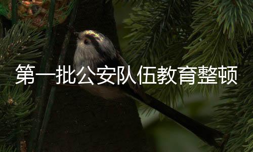 禁止逐利执法有关规定