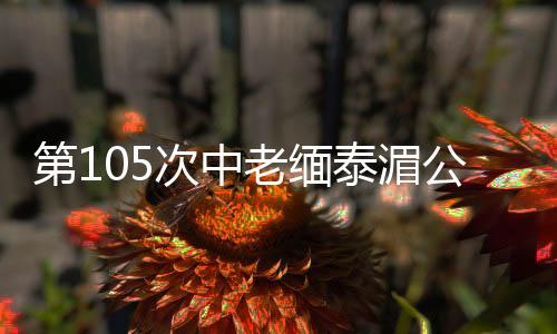 逻执总航程600余公里