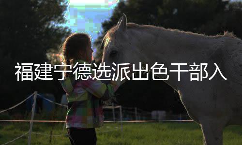 想去乡村一线干事创业