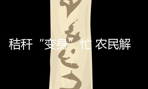 “解决秸秆问题