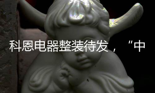 电器待高端厨电市场热度不减
