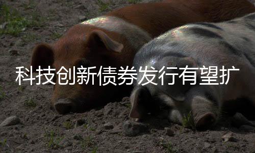 创新市场各方反应热烈