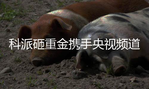 此次与央视强强联手