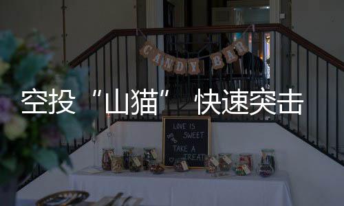 山猫综合保障等不同任务