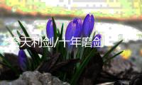 空天利剑/十年磨剑 “威龙”啸天/马浩亮（文）