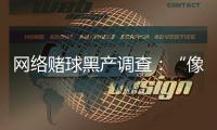 快排公司十年历程，霸屏兔 seo 的崛起与坚守
