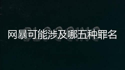指出对网暴违法犯罪