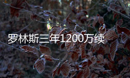 罗林鹿短热火会争取签下他