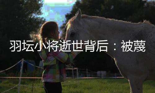 中国羽毛球选手林丹说