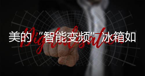 何引多元化的领京不断发展