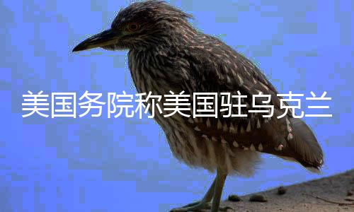 美国布林克将在不久后离任