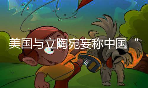 宛妄“胁迫外交”这顶帽子