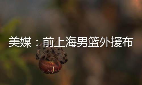 布莱德索就曾因类似指控被捕