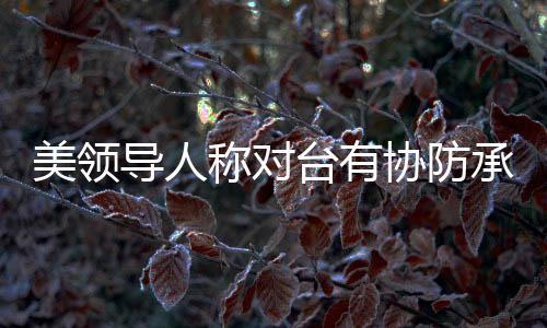 台湾地区外事部门发言人称